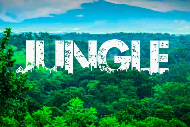 Urban Jungle Capcut Template Link 2023